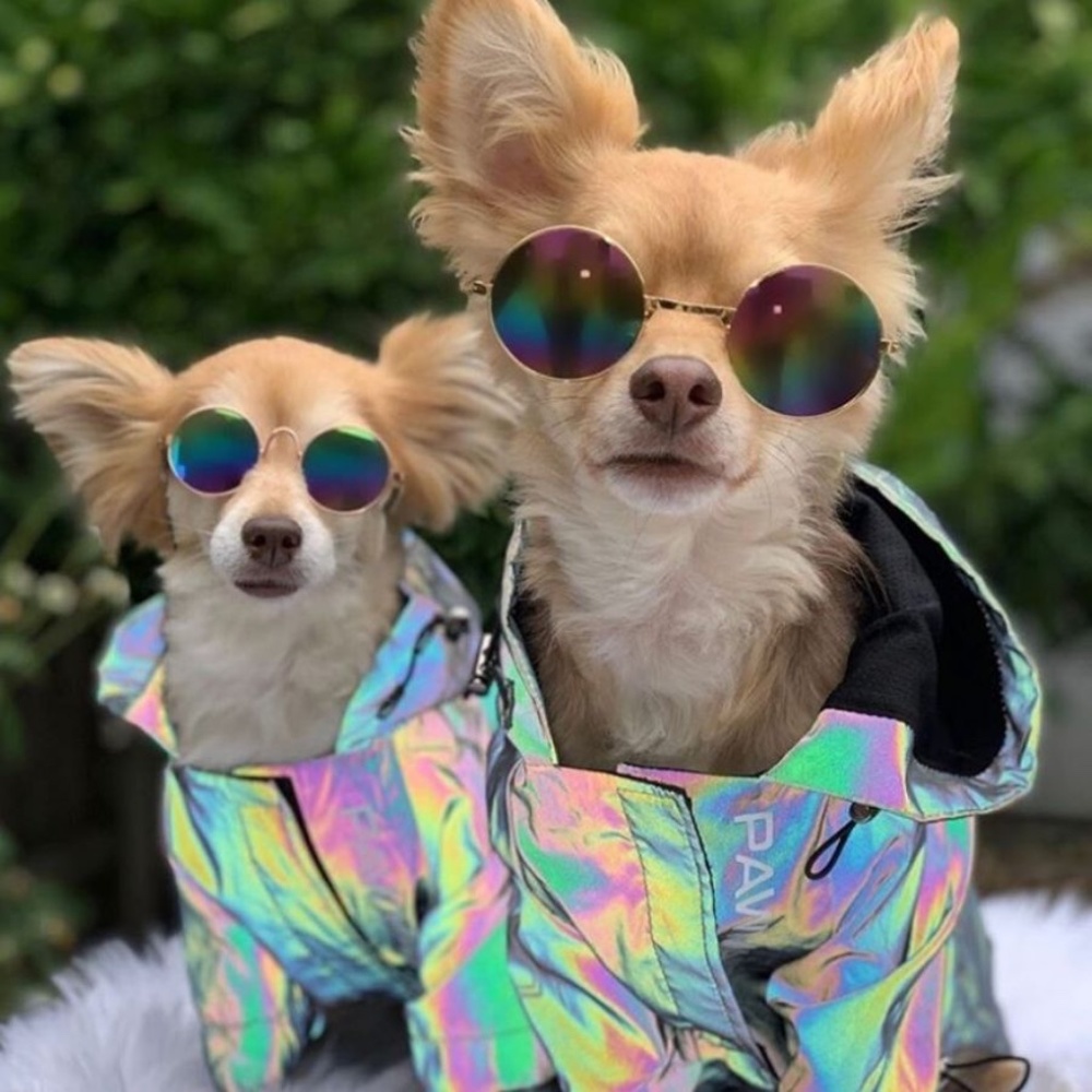 Pawmain INTERSTELLAR Hologram Windbreaker RTX™ Series